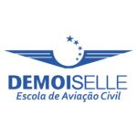 logo da escola de aviação demoiselle