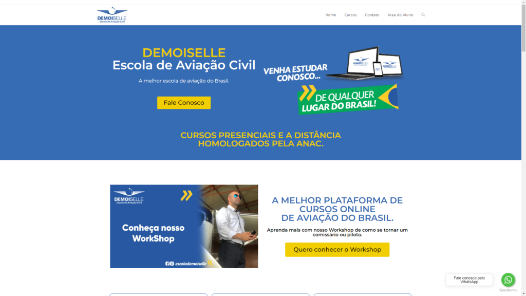 imagem da home page so site escola de aviação civil demoiselle