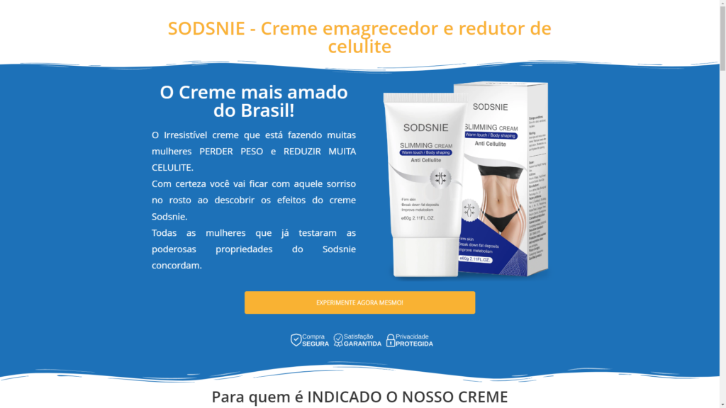 imagem da home page do site sodsne